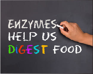 天然發酵和酵素類